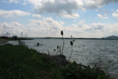 img_0368