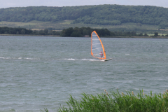 img_0453
