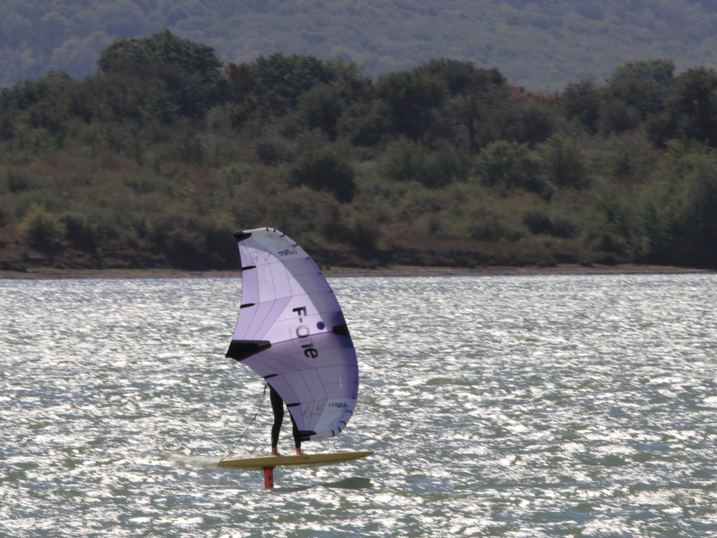 IMG_8233-scaled