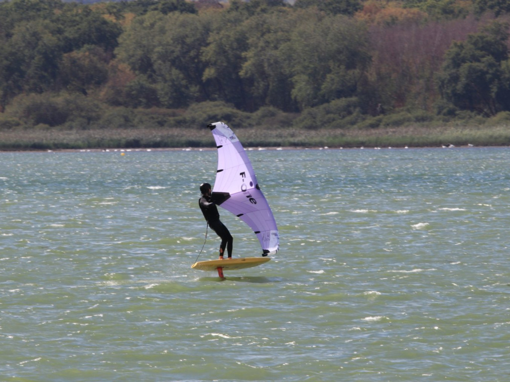 IMG_8237-scaled