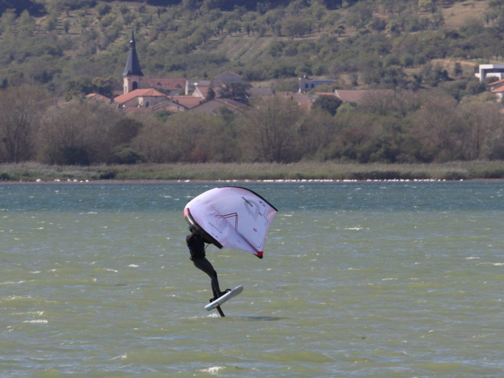 IMG_8251-scaled